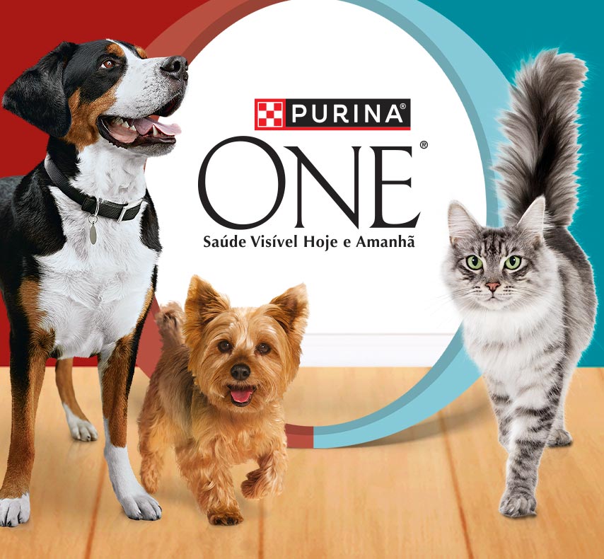 Gama PURINA ONE. PURINA - Your Pet, Our Passion