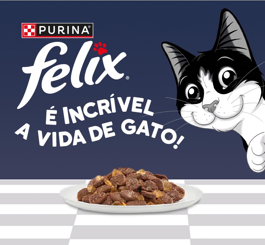 Felix é incrivél a vida de Gato! PURINA - Your Pet, Our Passion