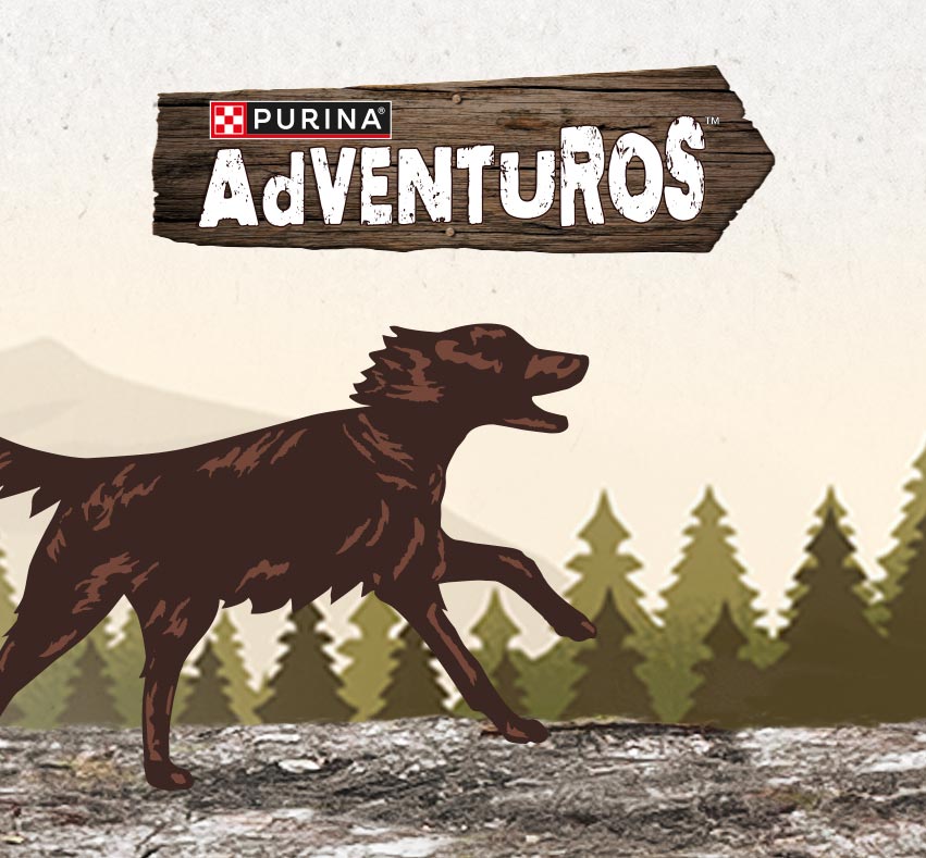 Snacks Adventuros. PURINA - Your Pet, Our Passion