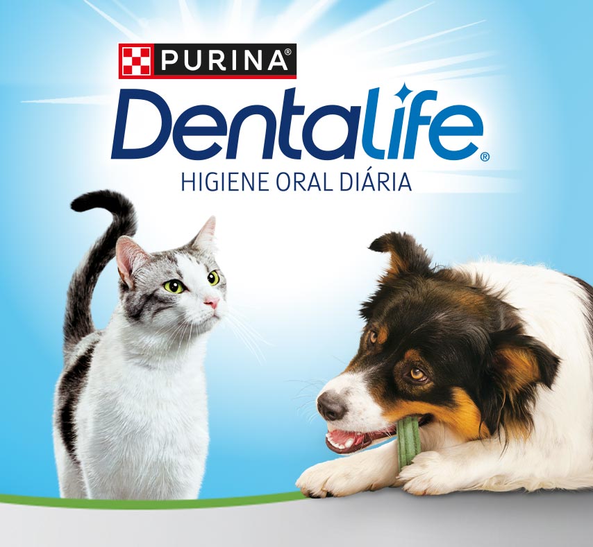Dentalige, Higiéne Oral diária. PURINA - Your Pet, Our Passion