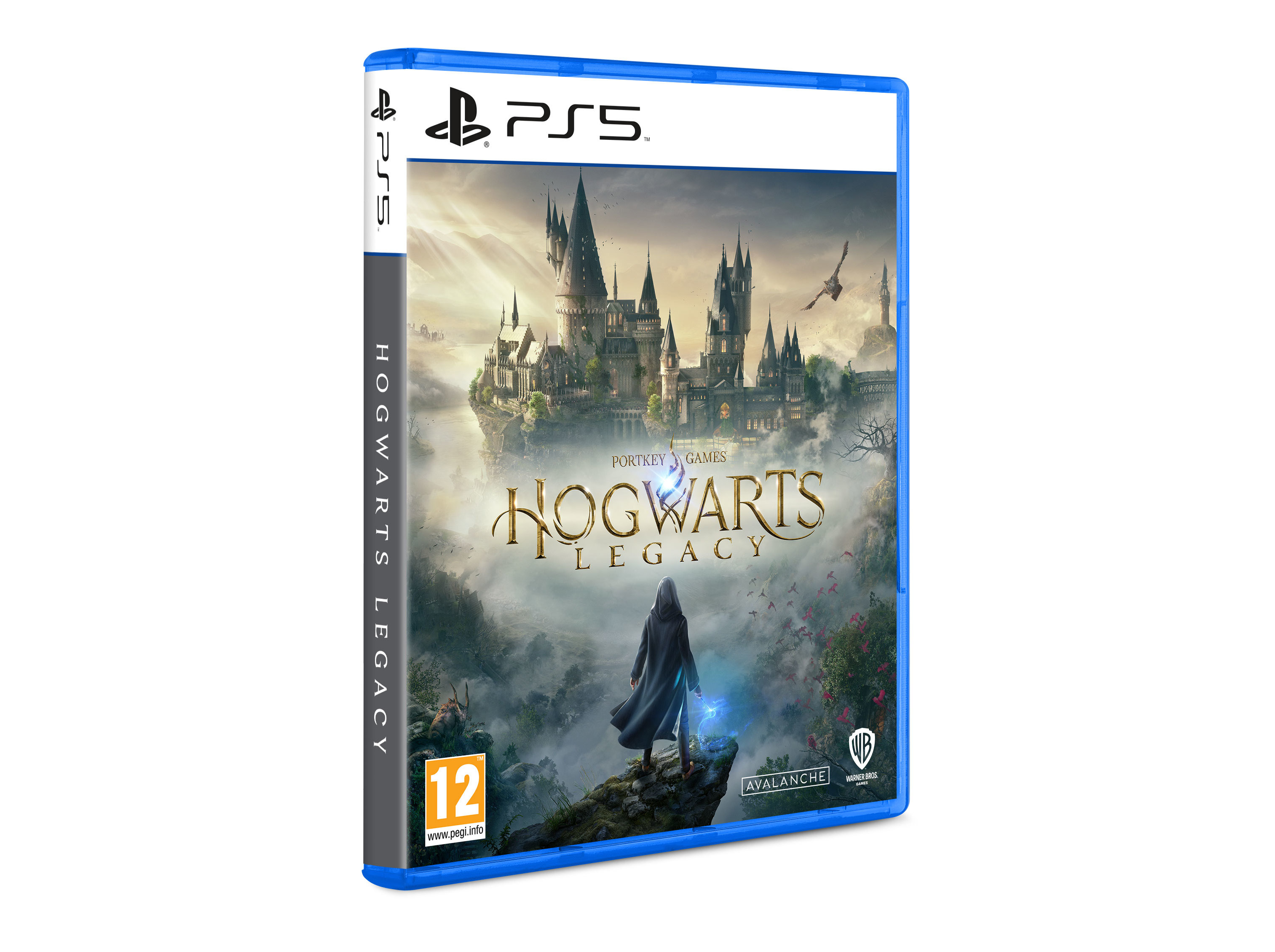 Hogwarts legacy ps5 цена фото 88