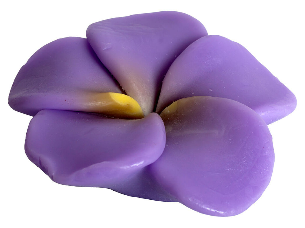 Sabonete Pohkara Flor Iris Purpura 105g