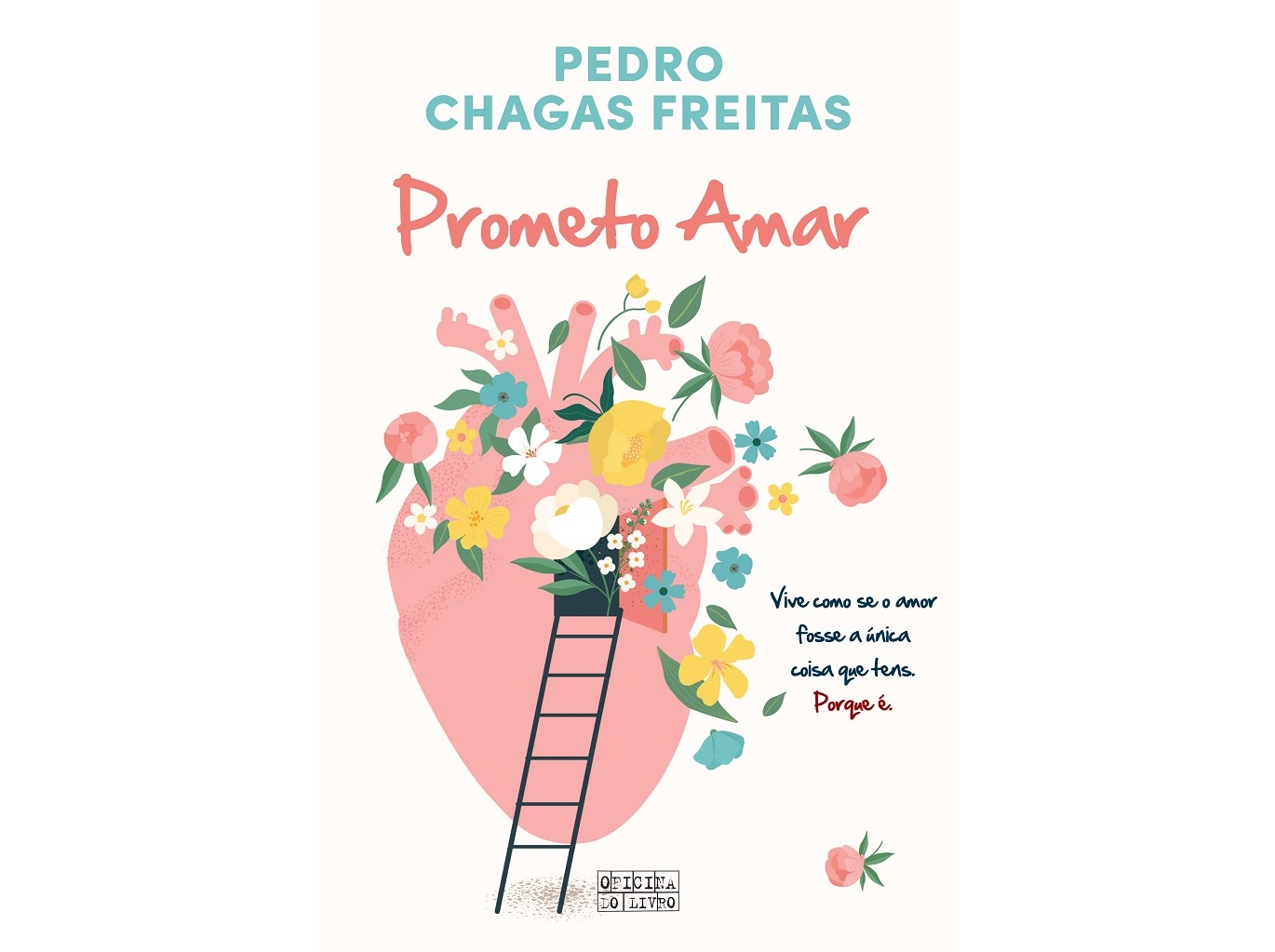 Livro Prometo Amar de Pedro Chagas Freitas ( Português )