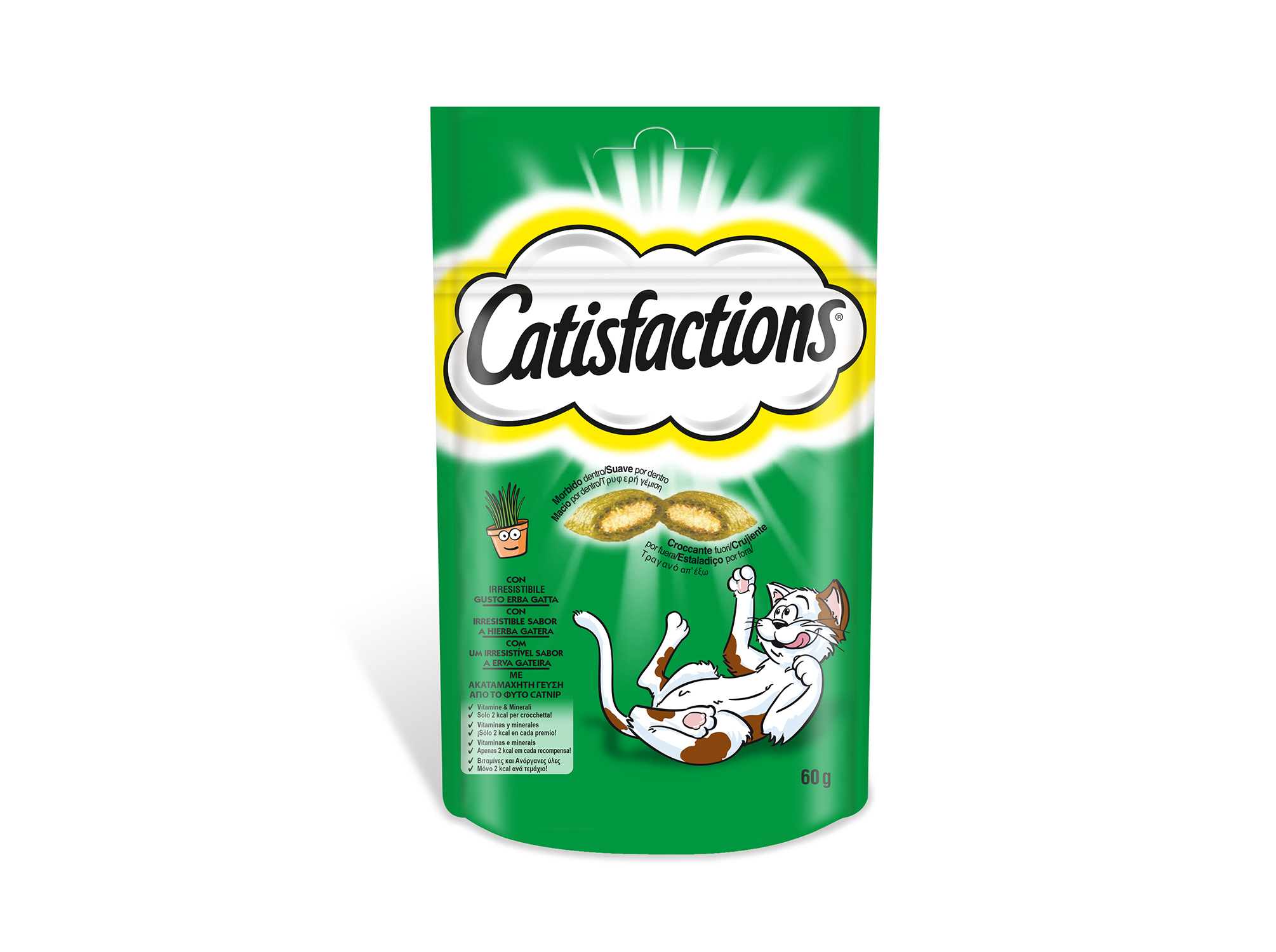 Snack Gato Catisfactions Erva Gateira 60g